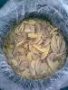 brine mushroom