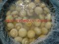 Brine Mushrooms in Drum