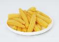 Canned baby  corn (canned  whole   corn ,canned young  corn ,canned vegetable,canned food)FDA NO,