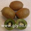 Fresh kiwifruit