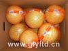 Fresh pomelo