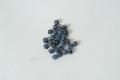 IQF blueberry