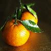 Honey mandarin orange