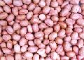 peanuts kernels