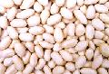 blanched peanut kernels