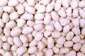 blanched peanuts kernels