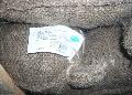 Chinese chestnut in sack with our label