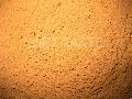 Cinnamon Powder