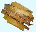 Broken Cassia