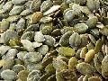 PUMKIN SEEDS