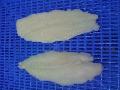  Frozen  Pangasius  Fillet 