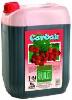  RASPBERRY   CONCENTRATE   JUICE  5-35Lt.