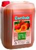PEACH CONCENTRATE JUICE 5-35Lt.