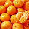 Honey mandarin