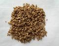 Textured vegetable protein-SHM03