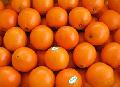 Chinese navel orange