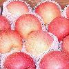 red fuji apple