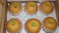 singo pear