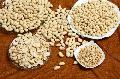 BLANCHED PEANUT KERNELS