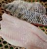 Skin-on-Tilapia-Fillet