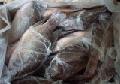 Frozen-Tilapia