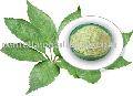 Notoginseng Leaf Triterpenes