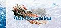  Fish   Processing  Machinery