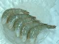 Frozen Vannamei Shrimp