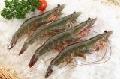 Frozen Vannamei Shrimp HOSO