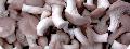 IQF Oyster--mushroon