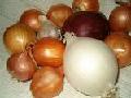  Onion s and  garlic (red and white)