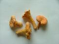  Frozen   Cantharellus   Cibarius  (whole)