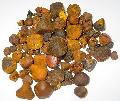 OX / CATTLE /COW GALLSTONE