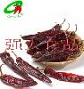 180ASTA  paprika   pods 