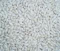  Baishake   White   Bean s Crop2009