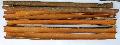 Split Cassia