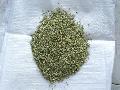 Fennel seeds