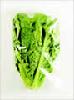 ROMAINE