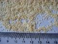 dehydrated garlic granules