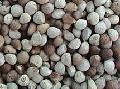 Perilla Seeds