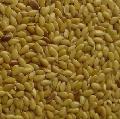 Golden Flax seeds