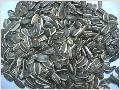 Sunflower Seeds