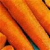  Carrot   puree 