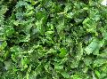 frozen chopped spinach