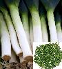  Dehydrated   Leeks 