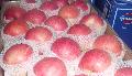 Fuji apple 10kg carton-40#