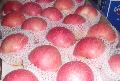 Fuji apple 10kg carton-44#
