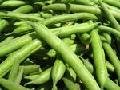 green beans