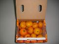  Mini   box  orange