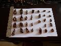 Dried morel
